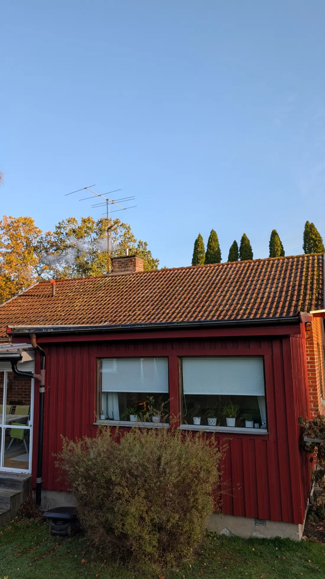 Tak med mossa och alger nära skorstenen före behandling