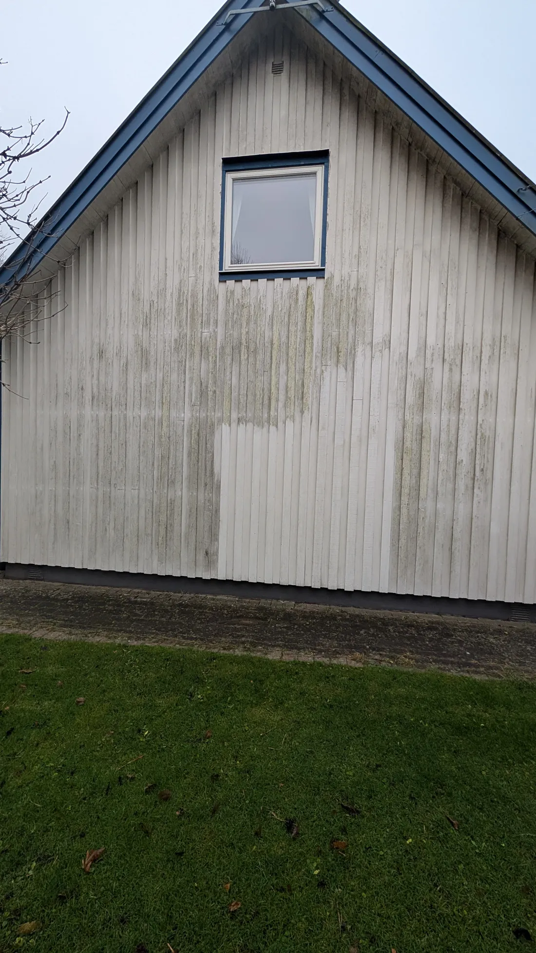 Vit träpanel med gröna algstråk och en provtvättad ren yta