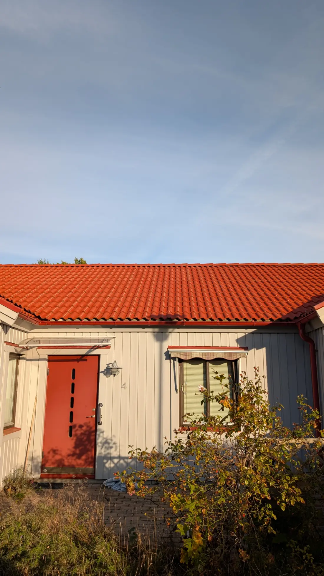 Klarorange tegeltak efter behandling