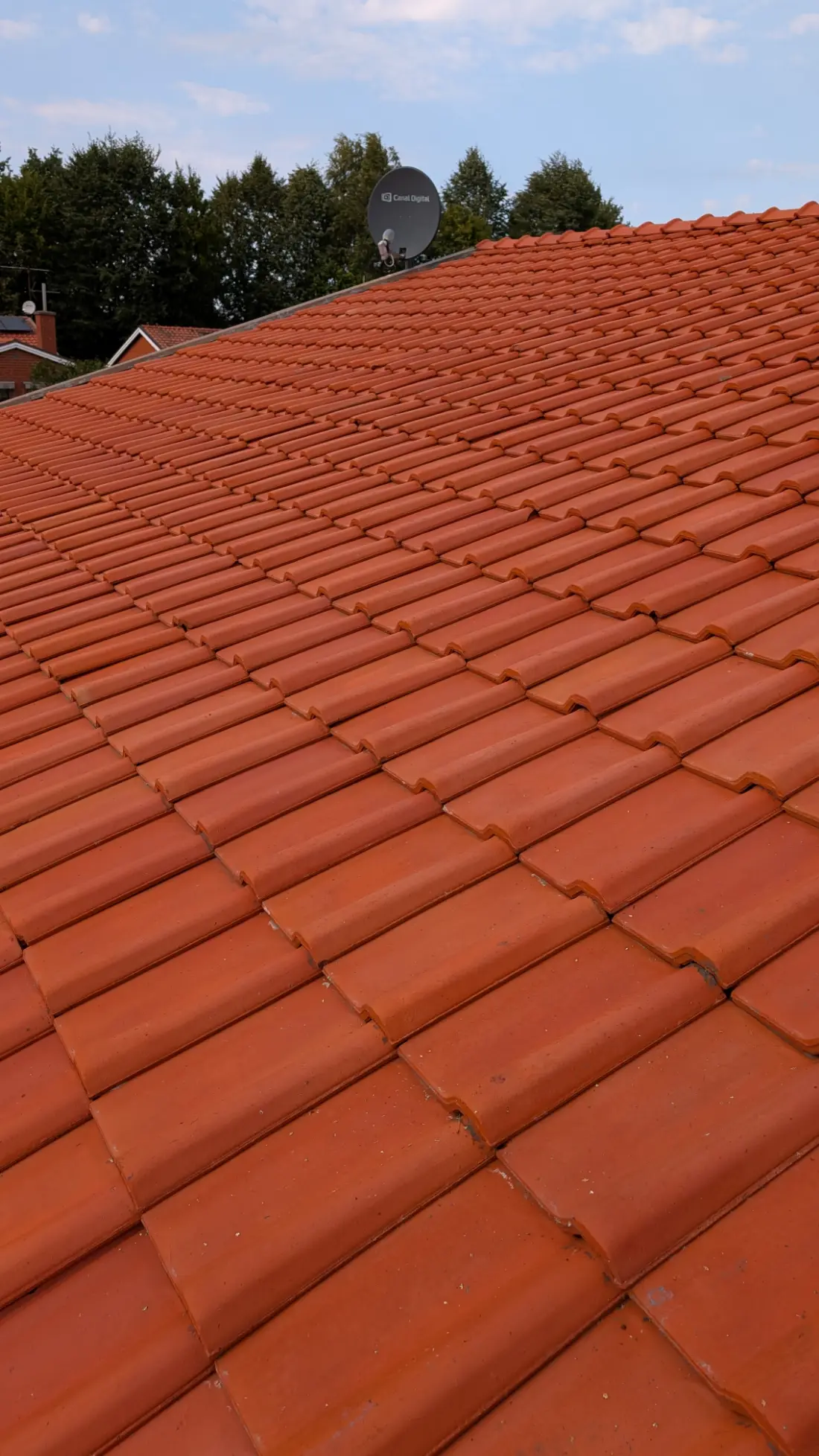 Rent orange tegeltak mot himlen