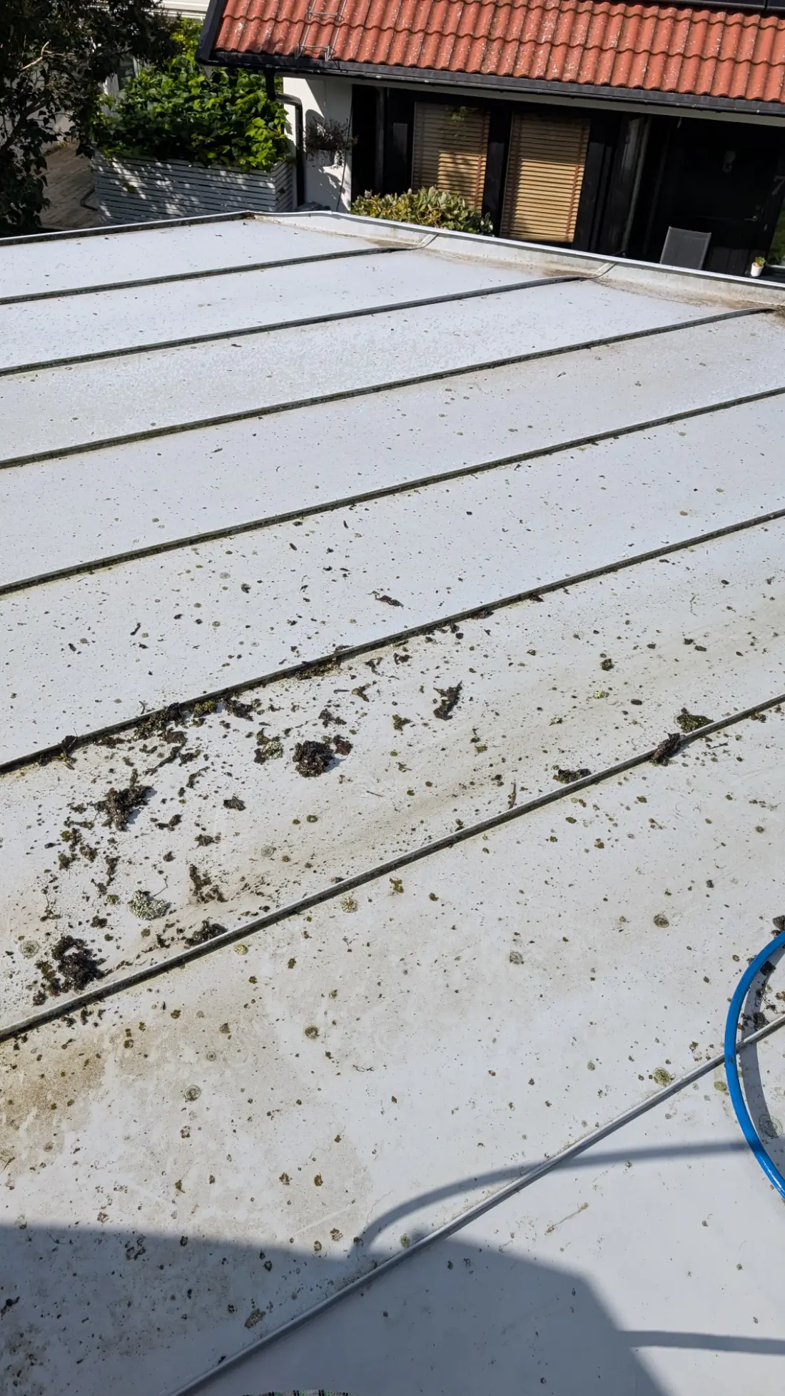 Falsad bandplåt på nära håll med mossfläckar
