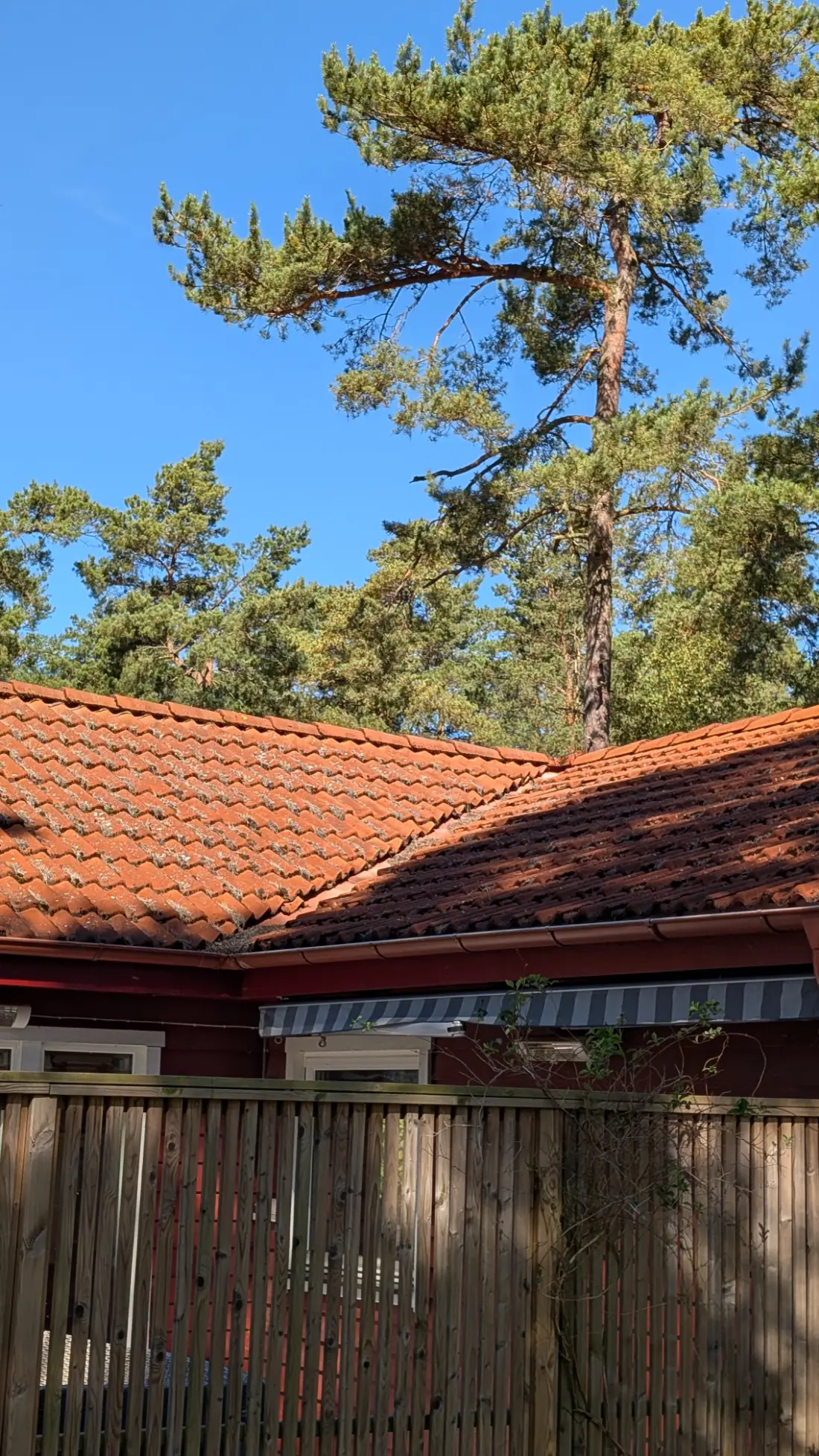 Rentvättat lertegeltak i orangerött på villa