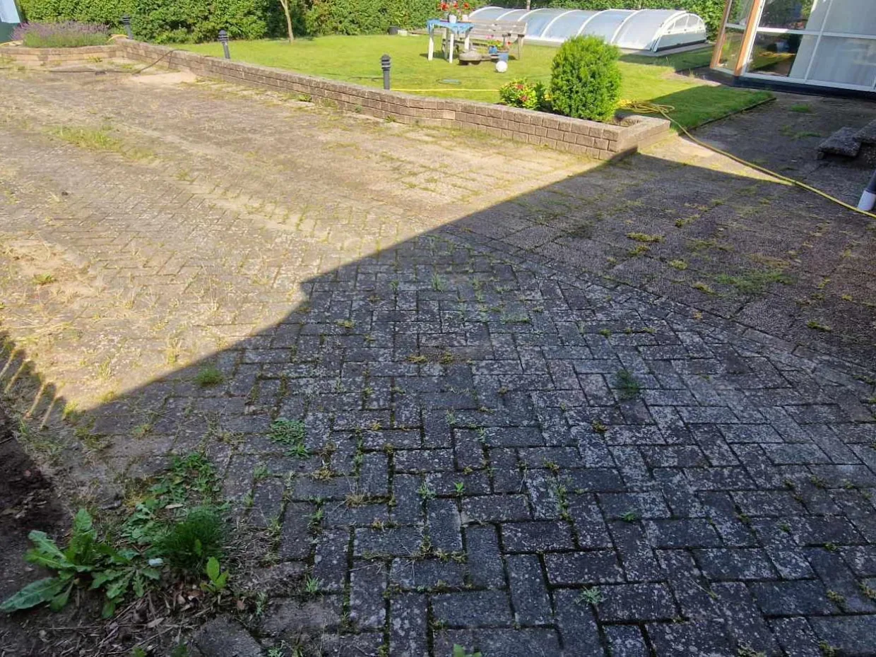 Mossig och ogräsbevuxen uteplats inför stentvätt